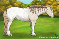 Horse Color:White Spotted Classic Cream Champagne Dun Sabino Blanket Rabicano