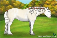 Horse Color:White Spotted Cremello Dun Splash Rabicano