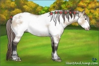Horse Color:White Spotted Bay Dun Frame Appaloosa 
