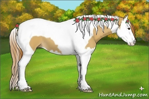 Horse Color:Red Dun Splash Tobiano 