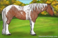 Horse Color:Bay Roan Tobiano and Silver Bay Roan Tobiano