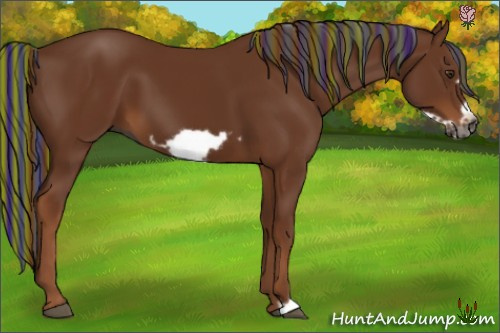 Horse Color:Gray Painted Chestnut Frame 
