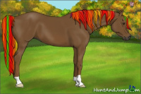 Horse Color:Gray Painted Chestnut 