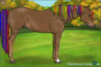 Horse Color:Gray Painted Chestnut 