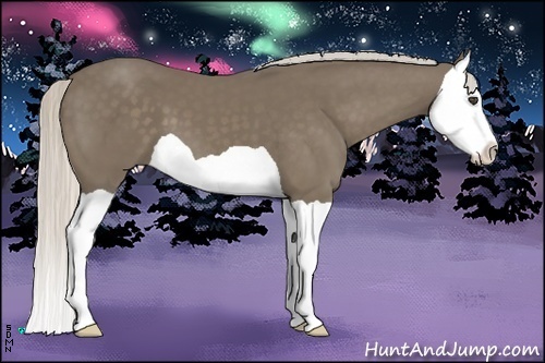 Horse Color:Silver Smoky Black Splash 