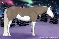 Horse Color:Silver Smoky Black Splash 