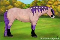 Horse Color:Watercolor Bay Roan Splash
