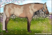 Horse Color:Bay Roan Dun  and Silver Bay Roan Dun 