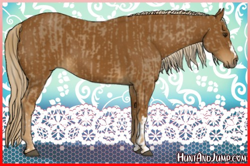 Horse Color:Palomino and Gray Palomino