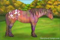 Horse Color:Nacre Buckskin Varnish 