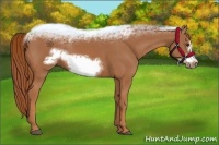 Horse Color:Chestnut Frame 
