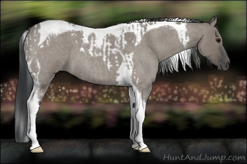 Horse Color:Grullo Roan Tobiano  and Grullo Roan Tobiano 