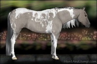 Horse Color:Grullo Roan Tobiano  and Grullo Roan Tobiano 