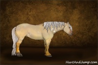 Horse Color:White Spotted Silver Brown Dun Rabicano
