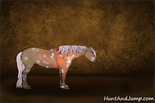 Horse Color:Painted White Spotted Silver Brown Dun Rabicano 