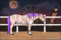 Horse Color:Painted White Spotted Silver Buckskin Rabicano