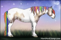 Horse Color:Painted Silver Bay Ice Onyx Splash Tobiano Frame Rabicano