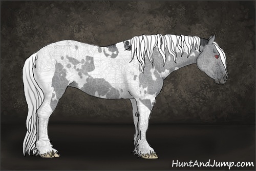 Horse Color:White Spotted Silver Grullo Chinchilla Tobiano Rabicano