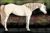 Horse Color:Buckskin Roan Pearl  and Buckskin Roan Pearl Splash 