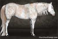 Horse Color:White Spotted Chocolate Brown Ice Pearl Splash  and White Spotted Liver Chestnut Ice Pearl Splash 