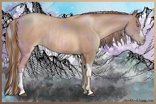 Horse Color:Silver Brown Pearl Dun and Liver Chestnut Pearl