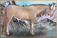 Horse Color:Silver Brown Pearl Dun  and Liver Chestnut Pearl 