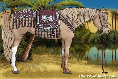 Horse Color:Liver Chestnut Pearl  and Liver Chestnut Pearl 