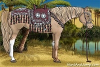 Horse Color:Liver Chestnut Pearl  and Liver Chestnut Pearl 