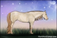 Horse Color:Liver Red Dun Pearl  and Liver Red Dun Pearl Frame 