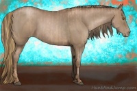 Horse Color:Liver Chestnut Pearl  and Black Pearl 