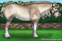 Horse Color:White Spotted Brown Pearl Onyx Sabino Appaloosa  and White Spotted Liver Red Onyx Pearl Sabino 
