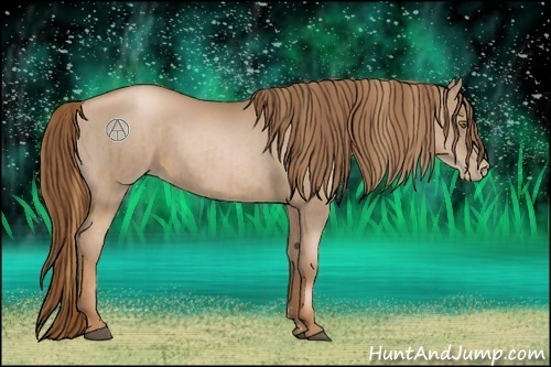 Horse Color:Liver Chestnut Pearl and Liver Chestnut Pearl