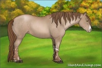 Horse Color:Liver Chestnut Pearl  and Bay Pearl 