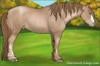 Horse Color:Liver Chestnut Pearl  and Liver Chestnut Pearl 