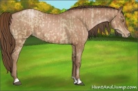 Horse Color:Brown Pearl Dun and Brown Pearl