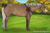 Horse Color:Silver Buckskin 