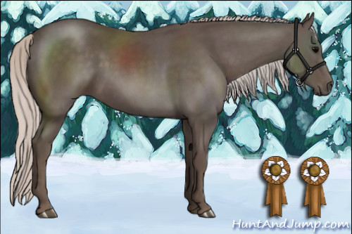 Horse Color:Silver Black