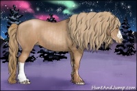 Horse Color:Liver Chestnut Pearl  and Liver Chestnut Pearl 