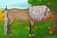 Horse Color:Silver Bay Dun 