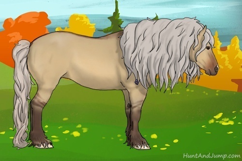 Horse Color:Silver Bay Dun