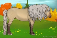 Horse Color:Silver Bay Dun 