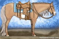 Horse Color:Silver Amber Champagne Frame 
