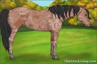 Horse Color:Brown Ice 