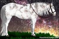 Horse Color:Brown Sabino Appaloosa