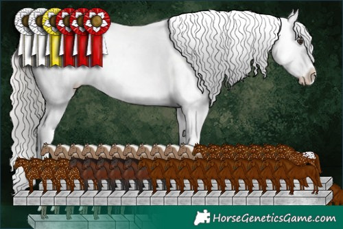 Horse Color:Liver Chestnut Mushroom Snowflake Varnish