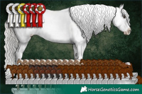 Horse Color:Liver Chestnut Mushroom Snowflake Varnish 