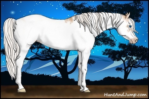 Horse Color:Silver Amber Champagne Sabino Frame 