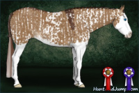 Horse Color:Red Dun Sabino Splash and Gray Red Dun Sabino Splash