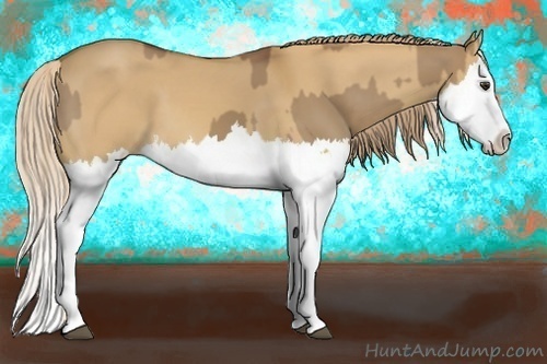 Horse Color:Red Dun Splash  and Palomino Dun Splash 