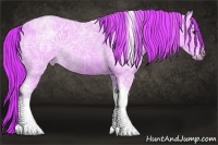 Horse Color:Watercolor Red Ice Roan Tobiano